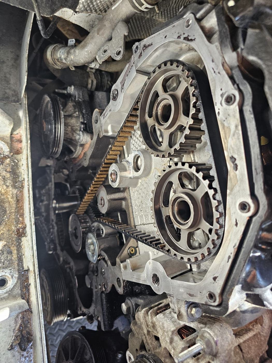 An engine with its wet belt and cam sprockets exposed during a belt replacement
